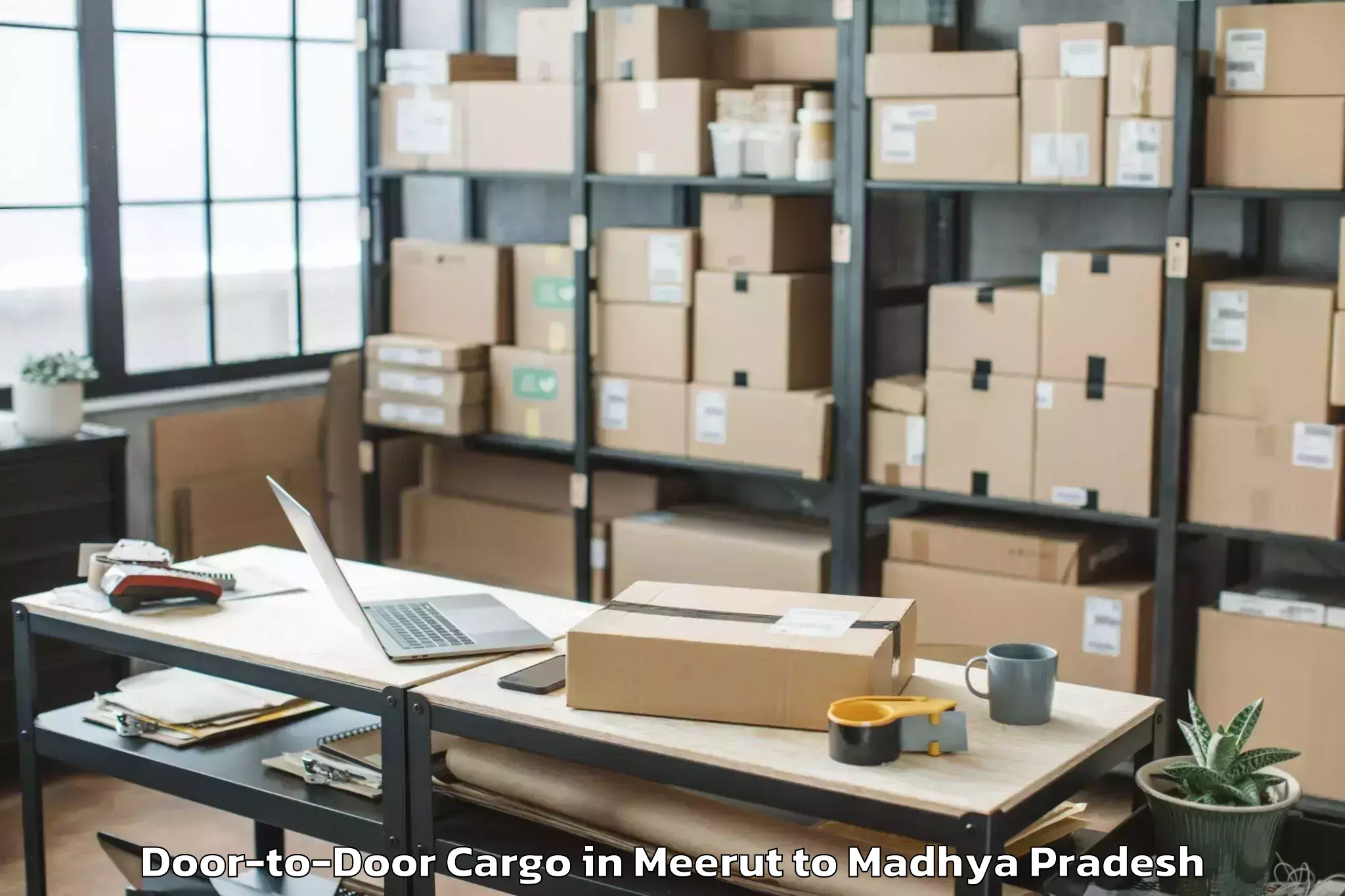 Meerut to Sironj Door To Door Cargo